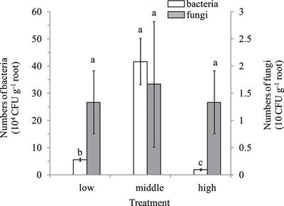 Isolation of Antagonistic Endophytes from Banana Roots against Meloidogyne javanica and Their Effects on Soil Nematode Community